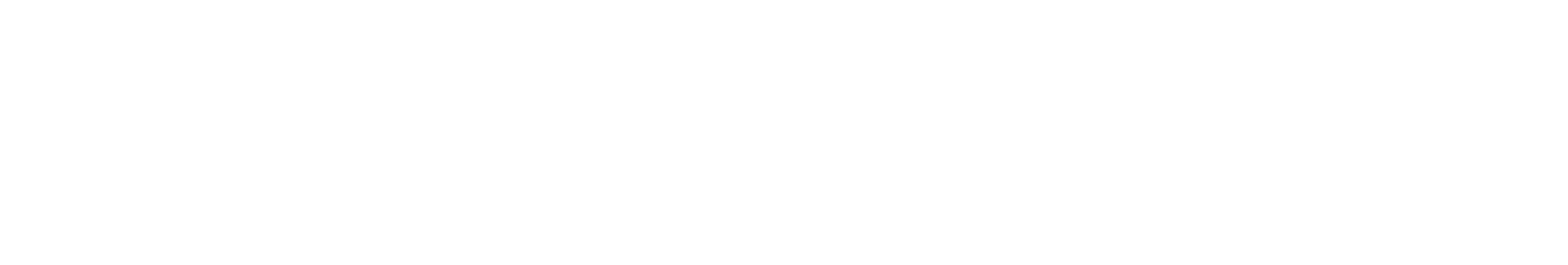 Q-SYS VisionSuite徽标